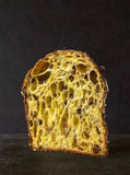 Panettone et viennoiserie au levain
